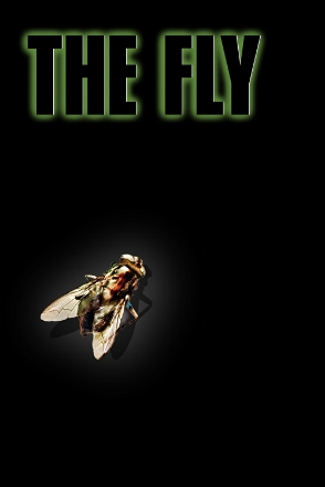 Fly