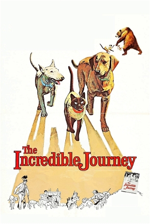 Incredible Journey