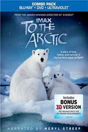 To the Arctic 3D