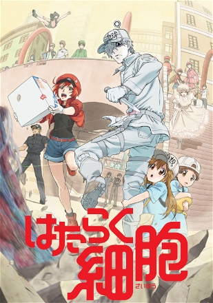 Hataraku Saibou