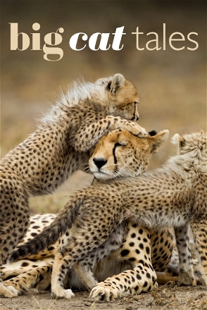 Big Cat Tales