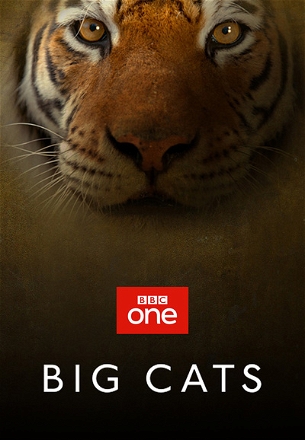 Big Cats_0001