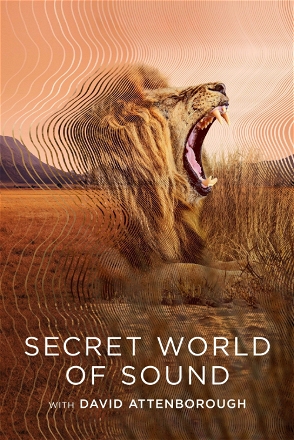 Secret World of Sound with David Attenborough_0001